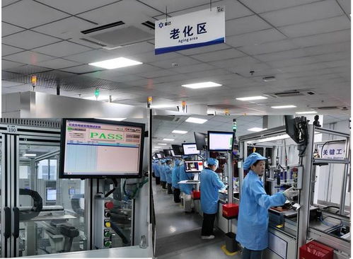 新春走基層 | 春節不打烊 上海技術驅動，近萬充電樁揚帆出海巴西